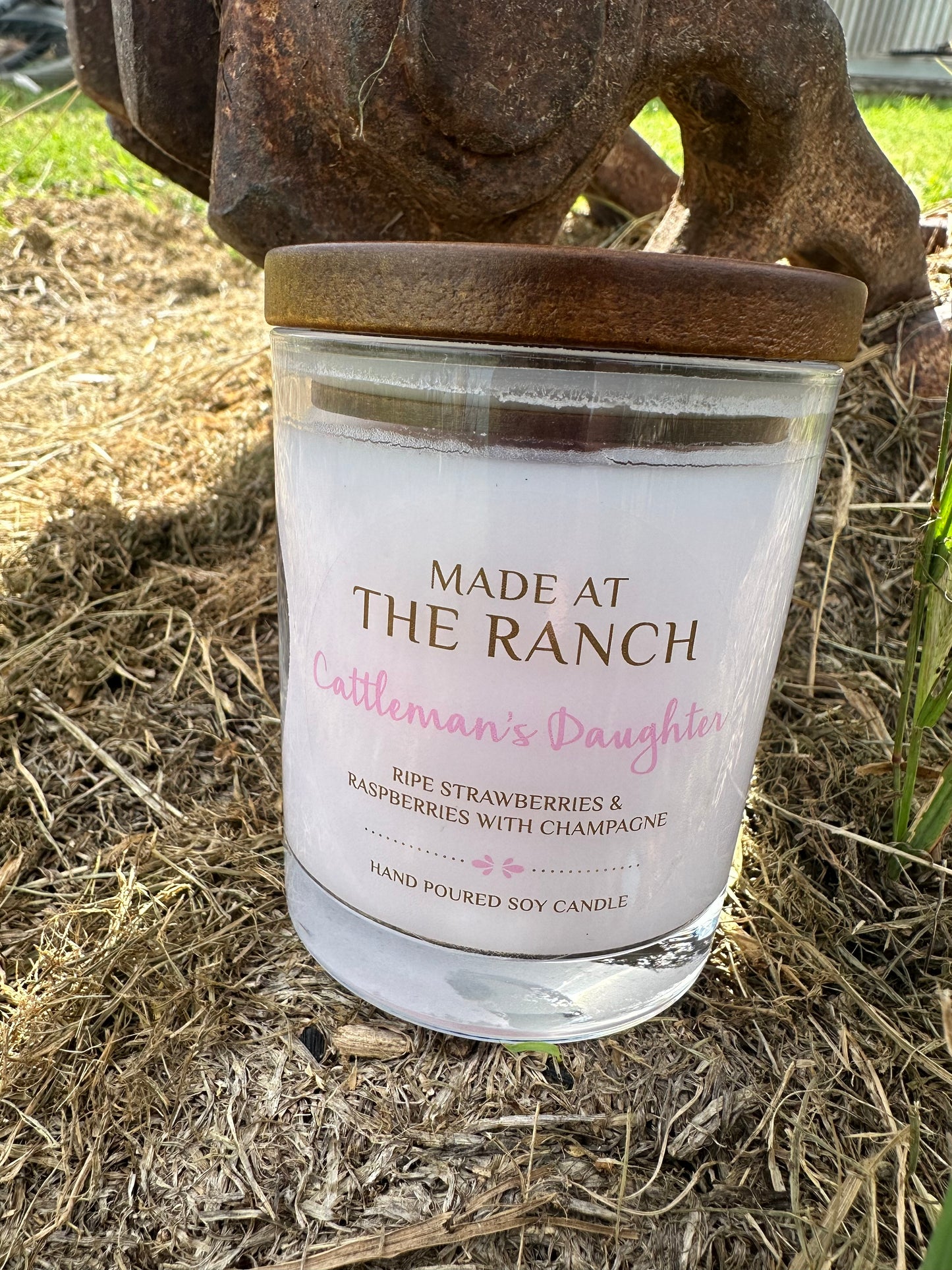 Cattleman's Daughter