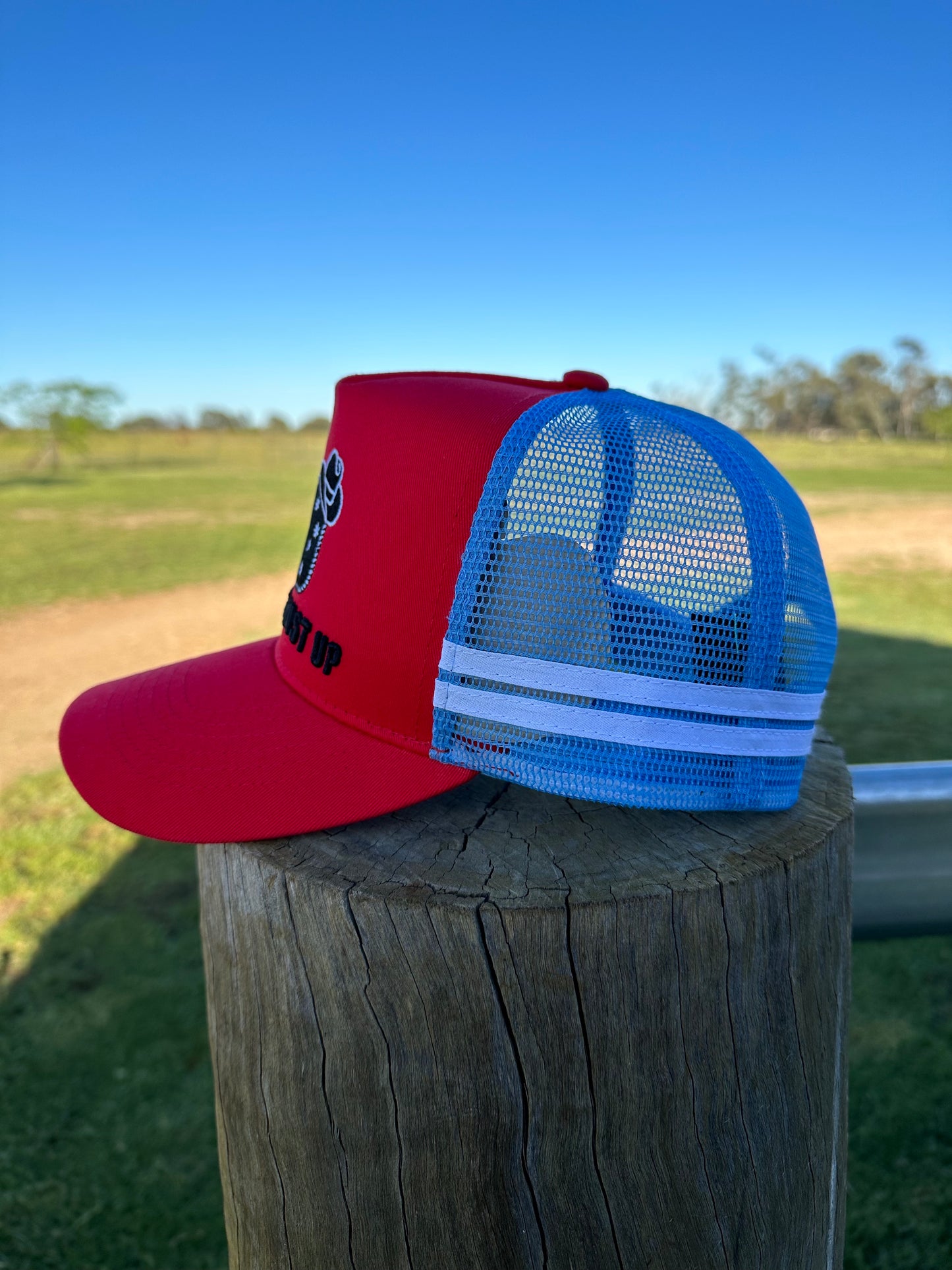 The Dusty - Red/Blue